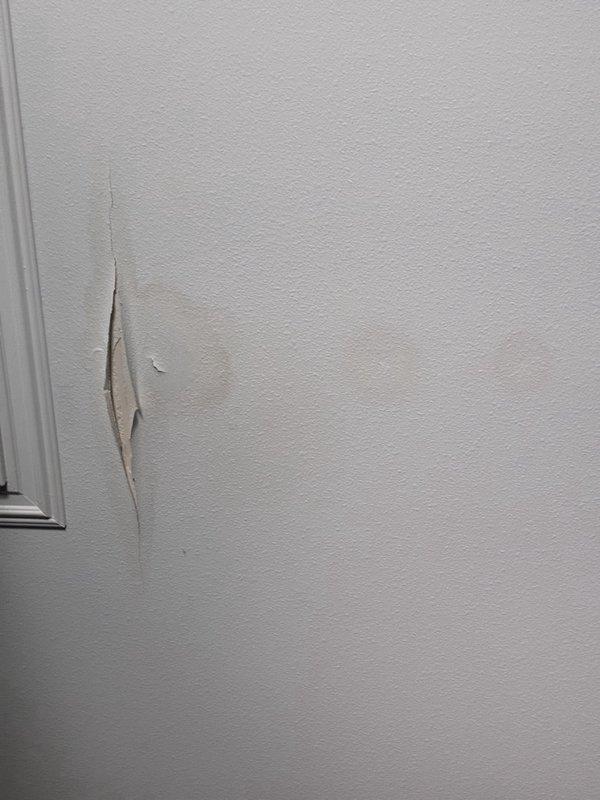 Performed an AC tune-up on a single-system installation, inspecting the condenser's electrical compartment and testing the run capacitor, contactor, and wiring with a clamp meter (34.1 reading recorded), and noted light corrosion and debris on the lower condenser tray. Documented water staining and a split in the painted ceiling drywall in the kitchen, consistent with a prior moisture issue that had been painted over and never resolved, and recommended further evaluation of the evaporator coil, condensate drain line, and secondary drain pan to identify the source of the leak.