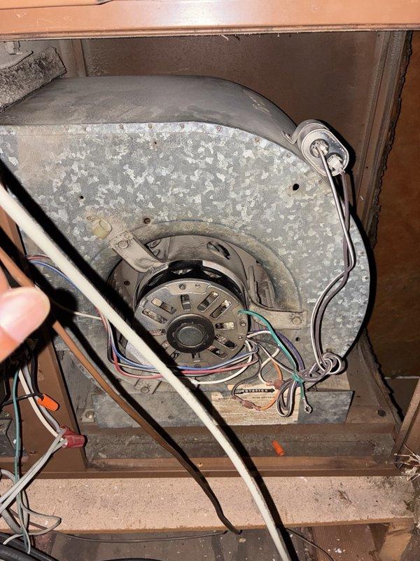 Completed fall heater tune-up on one system, including inspection of the blower compartment, motor, capacitor, and wiring connections. Measured blower motor amperage with a true RMS clamp meter (5.96 A) to verify proper electrical operation, and noted heavy dust and debris buildup on the blower housing and cabinet interior along with an aged, partially torn wiring diagram.