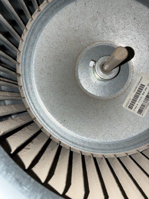 Performed a fall heating tune-up on one system, inspecting the furnace interior and cleaning the blower wheel to remove heavy dust and debris buildup from the fan blades. Measured blower motor amperage with a clamp meter (0.24 A AC) to verify electrical operation, and checked wiring and gas line connections within the cabinet.
