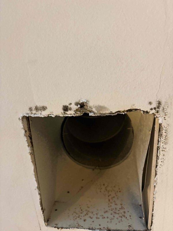 Performed fall heating tune-up on one system, including inspection of the unit and replacement of the air filters with customer-supplied filters. Documented suspected mold-like growth, staining, and ceiling cracking around the kitchen/dining area supply register and boot, along with gaps between the ceiling and register grates and condensation at the kitchen vent. Secured the register grates, and recommended further evaluation of the duct insulation, moisture source, and affected drywall for remediation.