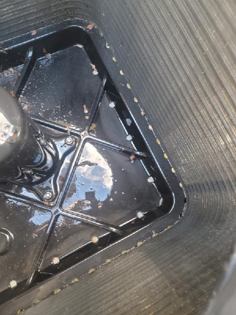 Denham Springs, LA - Annual HVAC Maintenance Call
