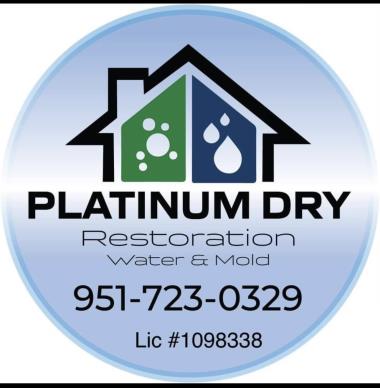 Platinum Dry INC