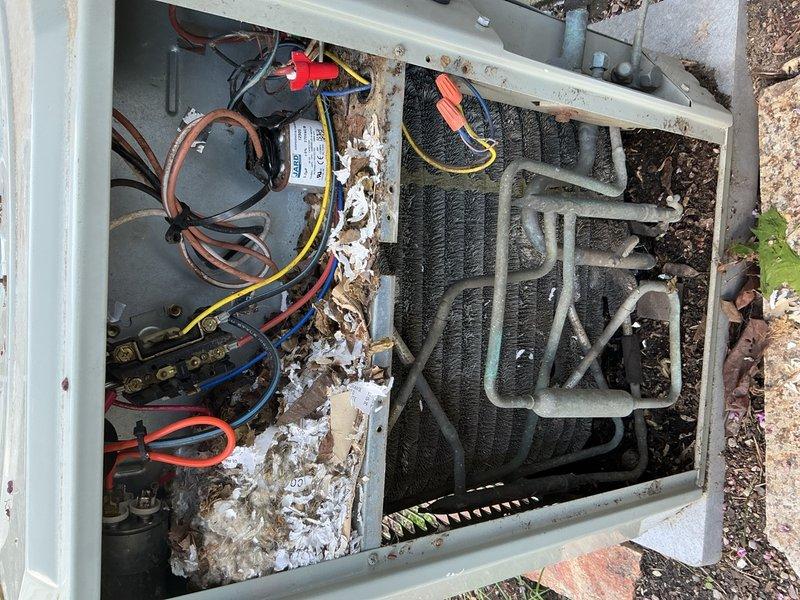 Completed scheduled air conditioning tune-up on outdoor condensing unit. Performed comprehensive system inspection, cleaned accumulated debris and organic matter from interior components, checked electrical connections and capacitor, inspected condenser coils and refrigerant lines, and verified proper fan operation. Unit operational upon completion with recommendations provided for ongoing maintenance due to age and weathering of equipment.