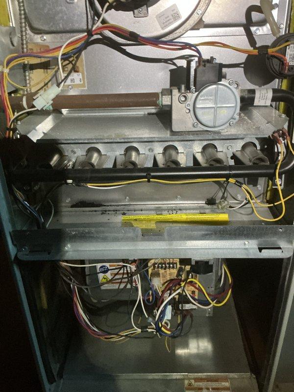 Completed gas furnace cleaning and maintenance on residential heating unit. Accessed and inspected burner assembly, gas valve, ignition system, and internal components. Cleaned burner tubes, verified proper operation of control board and wiring connections, and documented equipment condition with photographic records. Renewed service membership for continued maintenance coverage.