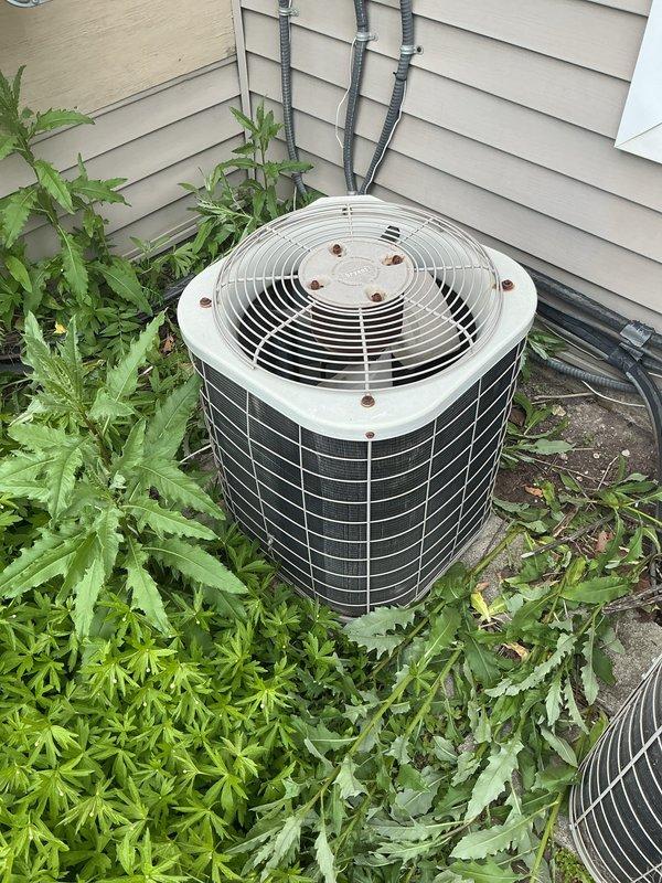 Completed standard AC tune-up on outdoor condensing unit. Performed routine maintenance inspection, checked refrigerant levels, cleaned condenser coils, and verified proper system operation. Noted significant vegetation overgrowth around unit requiring clearance to maintain adequate airflow and prevent future efficiency issues.