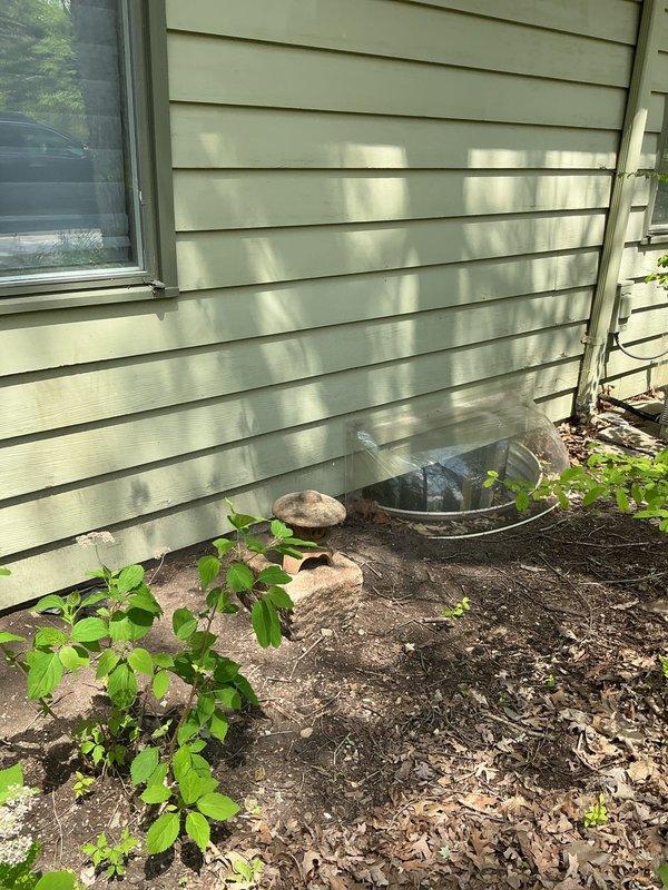 Performed AC service call on R-22 system with history of no cooling issues, last serviced in 2018. Inspected outdoor condenser unit and indoor air handler in basement installation. Evaluated system performance and identified aging refrigerant system as potential concern for future reliability. Documented equipment condition with photos of exterior condenser location and indoor air handling unit with associated refrigerant lines and electrical connections.