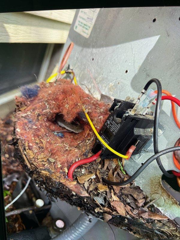 Responded to service call for insufficient cooling at residential property. Upon inspection, discovered outdoor condensing unit with extensive corrosion damage to refrigerant lines and compressor motor. Copper refrigerant piping exhibited severe oxidation with reddish-brown discoloration and surface degradation. Compressor motor housing showed advanced rust deterioration throughout, with metal surfaces heavily compromised by moisture exposure and environmental elements. Electrical connections including capacitor and wiring harnesses remained intact but surrounded by corroded components. Equipment failure determined to be result of prolonged exposure to outdoor elements and accumulated debris around unit base. Documented conditions with photographs and provided customer with repair recommendations for complete system evaluation and component replacement.