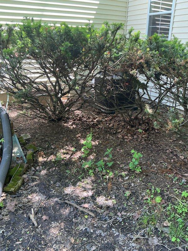 Responded to no-heat call and found furnace inoperative with indoor temperature at 63°F. Performed system diagnostics and restored heating operation. Additionally addressed water leakage reported near outdoor unit, inspected AC condenser location at foundation, and checked basement mechanical room including water heater and plumbing connections for potential leak sources. Completed air conditioning system start-up and installation verification, confirmed all equipment operational with no active water discharge from HVAC systems.