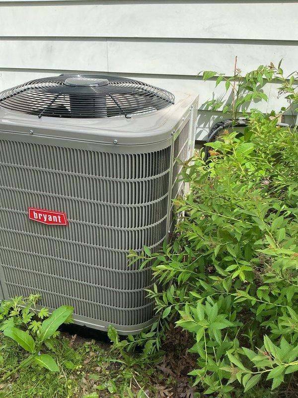 Performed routine maintenance and cleaning on Bryant brand outdoor air conditioning condenser unit. Cleared overgrown vegetation and plant growth from around the base and sides of the unit to restore proper airflow and prevent obstruction of the condenser coils. Cleaned exterior fins and housing, inspected fan assembly and protective grille for proper operation, and verified unit functionality upon completion.