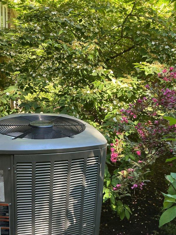 Completed comprehensive AC tune-up and preventative maintenance on residential outdoor condenser unit. Performed system inspection, recorded equipment information and model details from unit nameplate, and documented installation condition with photos showing proper clearance and surrounding vegetation management needs.