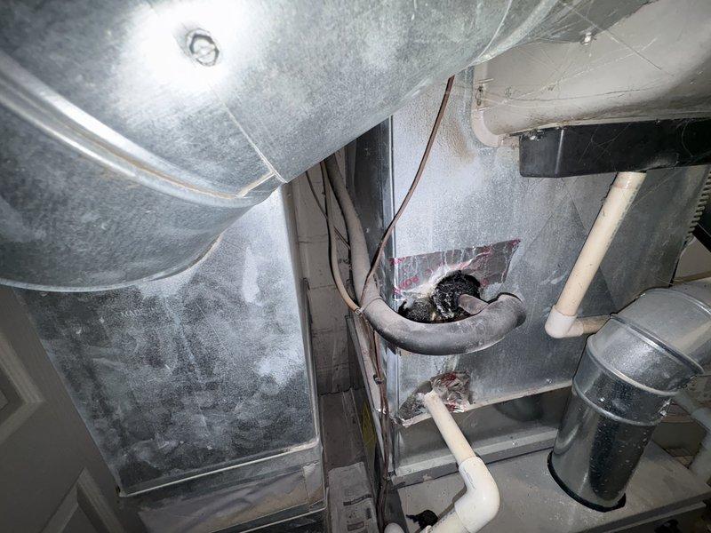 Responded to no-cool complaint on 9-year-old central air conditioning system. Upon arrival, verified thermostat was calling for cooling and system was attempting to operate but failing to produce cold air. Conducted diagnostic inspection of indoor and outdoor units, documenting system components and current operating conditions with photographs. System requires repair work to restore cooling function; heating capability confirmed operational by homeowner.