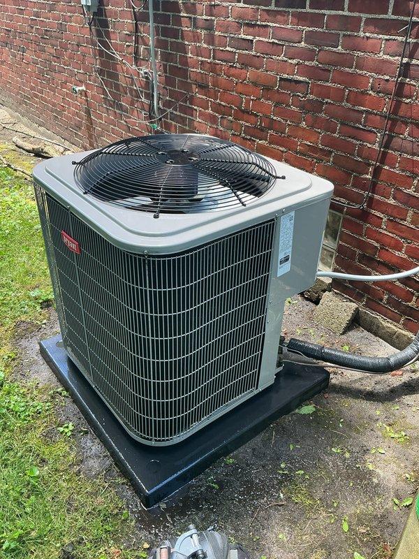 Performed comprehensive air conditioning tune-up on 6-year-old Bryant condensing unit. Completed full system inspection, cleaning, and performance verification on outdoor condenser unit positioned on concrete pad against brick exterior wall. Unit had previously been reset once prior to service visit and was processed as non-membership maintenance.
