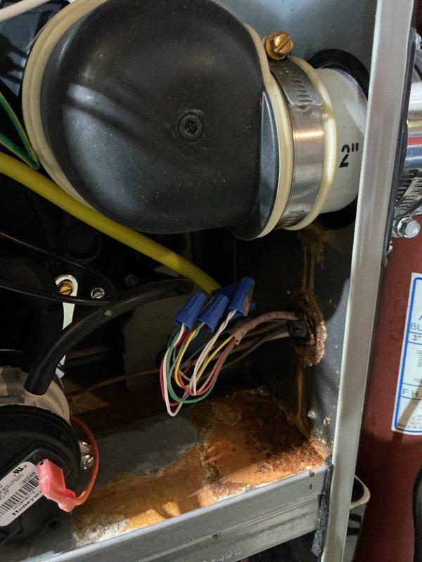 Completed comprehensive tune-up service on residential air conditioning and furnace system. Performed standard maintenance procedures including inspection of internal components, electrical connections, and system controls. Noted significant rust and corrosion present on copper tubing and internal surfaces of furnace unit, indicating possible moisture intrusion or condensate drainage issues. Customer reported extended cooling times; system operation observed and documented for potential follow-up evaluation of AC performance and capacity concerns.