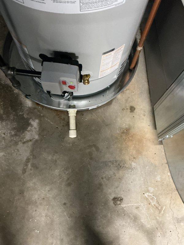 Installed a new 50-gallon power vent water heater to replace the existing unit. The installation included proper venting configuration, copper supply line connections, and condensate drainage system with PVC piping, all completed to manufacturer specifications and local code requirements.