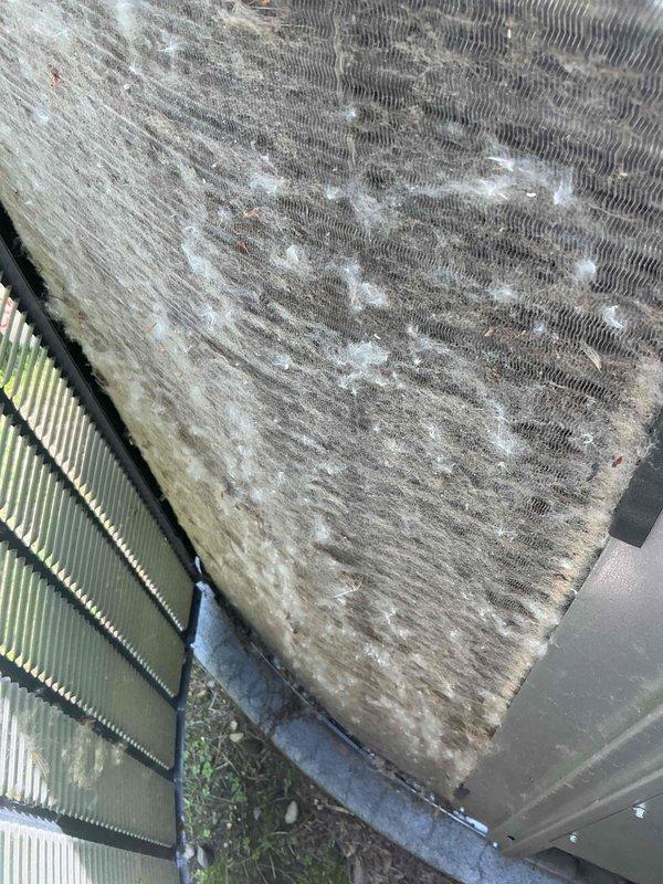 Completed multi-system tune-up on 2022 HVAC units. Both outdoor condenser coils showed heavy accumulation of dirt, debris, lint, and organic material significantly restricting airflow through the fins. Thoroughly cleaned coils to restore proper heat exchange efficiency. Performed standard preventive maintenance procedures including inspection of electrical components, refrigerant levels, and overall system operation. All systems tested and operating within normal parameters upon completion.