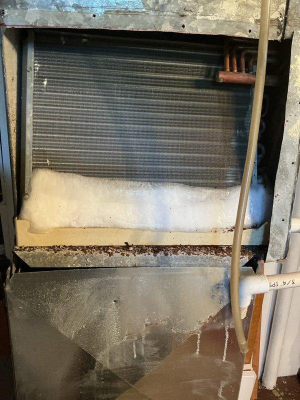 Responded to AC drain leak causing water infiltration into basement area. Upon inspection, found evaporator coil drain pan showing signs of age with debris accumulation and visible moisture pooling on floor beneath unit. Cleared drain line obstruction, cleaned drain pan, and tested system for proper condensate drainage. Performed diagnostic service on outdoor condenser unit to ensure overall system functionality and proper operation.