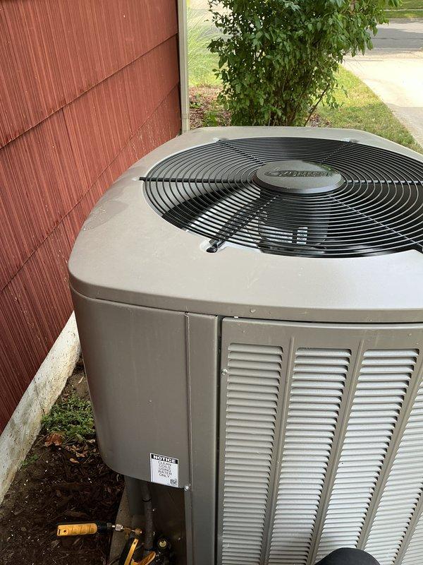 Completed comprehensive air conditioning tune-up on residential outdoor condensing unit. Performed full system inspection including electrical connections, capacitor testing, and verification of proper component operation. Collected payment for service renewal and documented equipment condition with detailed photographs showing unit exterior, electrical compartment, and internal wiring configuration.