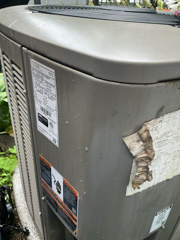 Completed comprehensive air conditioning tune-up and preventative maintenance on residential Lennox condensing unit. Performed standard inspection procedures, collected payment for service renewal, and documented equipment condition with photographs showing unit positioned in landscaped area with adequate clearance from surrounding vegetation.