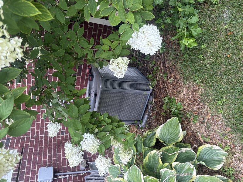 Responded to no cooling call on residential HVAC system less than 10 years old. Diagnosed system and identified required replacement part. Customer approved repair pricing, and part was obtained and installed to restore cooling operation. System tested and confirmed operational upon completion.