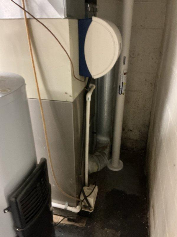 Responded to non-emergency call regarding HVAC system malfunction with suspected blower motor or control board failure. Upon inspection of mechanical room, assessed air handler unit and associated ductwork system. Diagnosed issue and documented equipment conditions for repair recommendations.