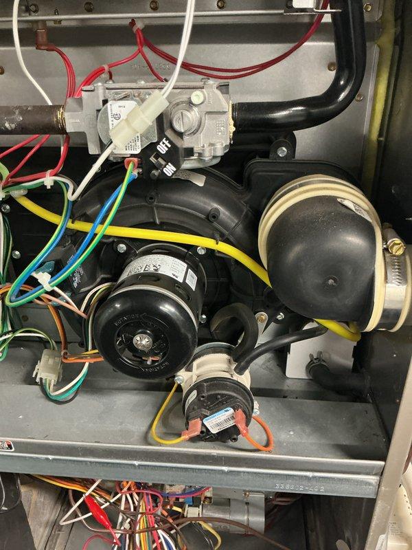 Completed comprehensive tune-up and maintenance service on 9-year-old Bryant furnace and air conditioning system. Performed full system inspection including blower motor, gas valve, electrical connections, and heat exchanger components. Replaced condensate pump drain hose and verified proper pump operation. All electrical connections checked and secured, burner assembly inspected, and refrigerant lines examined. System tested and confirmed operating within normal parameters with no issues detected.