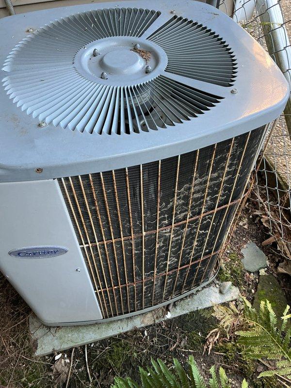 Performed comprehensive annual tune-up on 31-year-old Carrier air conditioning system. Unit was found in operational condition with cooling function performing adequately. Conducted standard preventive maintenance procedures including inspection of condenser coil fins, fan assembly, electrical connections, and refrigerant levels. Exterior housing and coil surfaces showed age-appropriate weathering and environmental accumulation. System confirmed operational at conclusion of service visit.