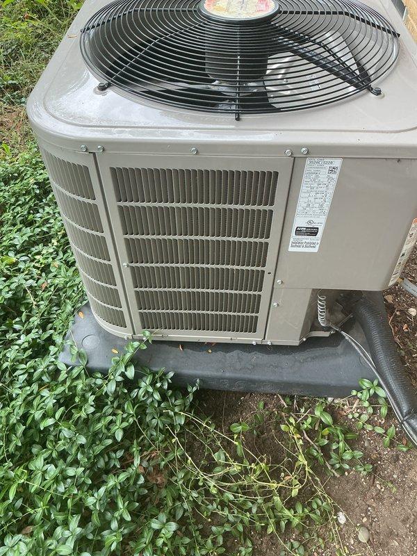 Completed routine maintenance on a 5-year-old Bryant air conditioning system and furnace with no reported issues. Performed comprehensive AC tune-up including inspection of outdoor condensing unit, verified proper operation of condenser fan and motor, checked refrigerant levels and system pressures, cleaned condenser coils, inspected electrical connections and contactors, and tested capacitor performance. Examined furnace components in basement including heat exchanger, blower motor, gas valve, ignition system, and air filter. Verified proper airflow through both systems, checked thermostat calibration and operation, inspected condensate drain lines and PVC piping for blockages, and confirmed electrical disconnect switch functionality. All components operating within manufacturer specifications with no immediate repairs required. Documented unit condition with photographs showing outdoor condenser positioned on concrete pad with proper clearance, though minor vegetation growth noted ar
