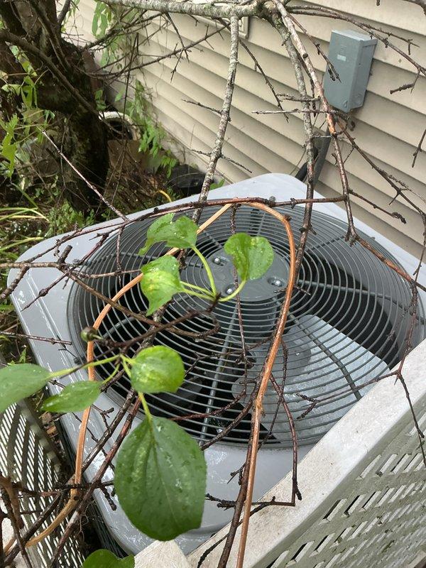 Completed scheduled air conditioning tune-up on outdoor condenser unit. Upon arrival, found significant vegetation overgrowth with vines and branches obstructing the fan grille and surrounding the equipment, which could impair airflow and system efficiency. Cleared debris and vegetation from unit to ensure proper operation and ventilation. Performed standard maintenance inspection of condenser components, verified fan operation, and confirmed unit is functioning within normal parameters.