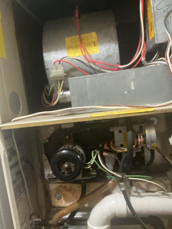 Completed comprehensive gas furnace tune-up on residential HVAC system, including inspection of blower motor assembly, electrical connections, gas valve operation, and condensate drainage system. Verified all safety controls, cleaned components, checked wiring integrity, and tested system operation to ensure proper function. Provided and installed new air filters on-site as requested.