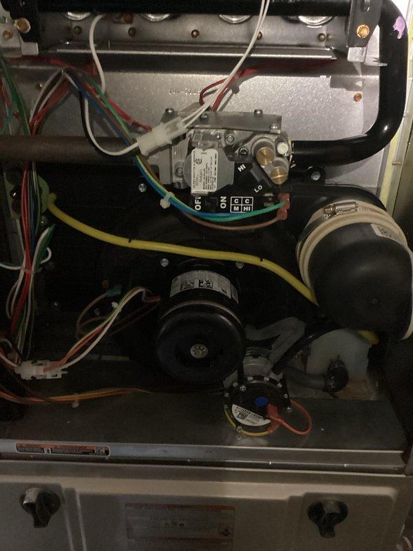 Completed routine maintenance and cleaning on Bryant furnace system. Inspected gas control valve assembly, verified proper wire connections and electrical components, and examined blower motor housings for operational integrity. Cleaned internal components, checked pressure switches and sensors, and confirmed all mechanical systems functioning within normal parameters. Unit left in proper working condition with all access panels secured.