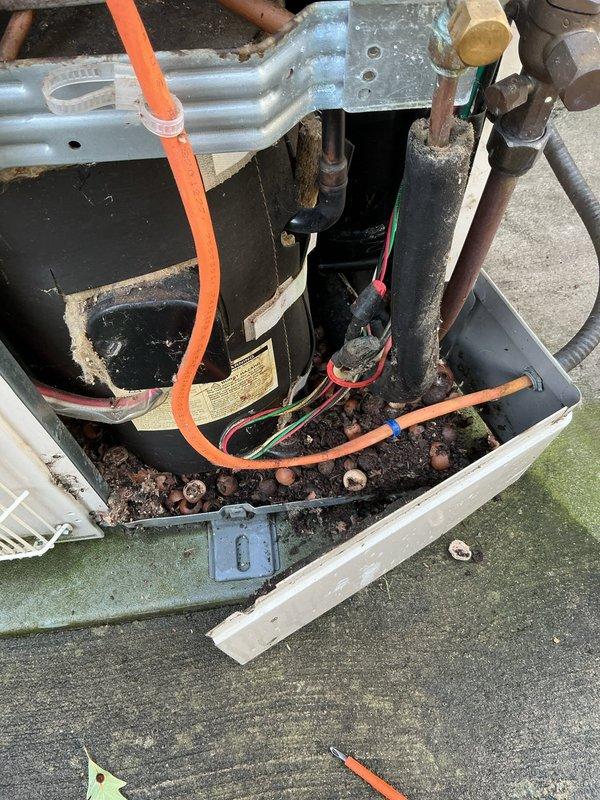 Completed comprehensive tune-up on mini-split system with five indoor head units. Serviced outdoor condensing unit, inspected refrigerant lines and electrical connections, cleaned debris from outdoor unit compartment, and verified proper operation of all zones. System tested and confirmed operating within manufacturer specifications.
