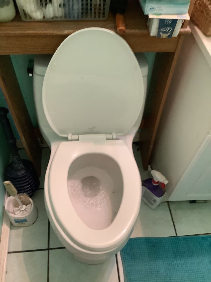 Best plumber near me working on clearing clogged Kohler toilet 