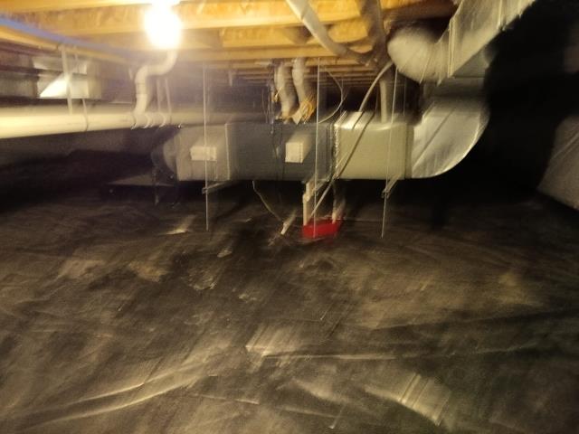 Onsite today for an rtf furnace service call. Upon arrival found pressures switches faulty stuck on open . Upon replacement of pressure switches and testing I also found a faulty Gas valve. I have replaced all parts and the system came on normally and heating properly with a 42 degree temperature split 