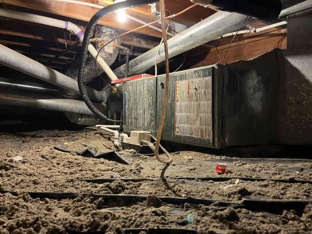 Onsite today and performed membership maintenance/tuneup on a 2017 high efficiency American standard furnace. Major rust buildup around blower motor, inducer motor, burner assembly, and heat exchanger due to water damage from past crawlspace flooding. Recommendation is to update furnace. Sent estimates and scheduled replacement. Job Complete.
