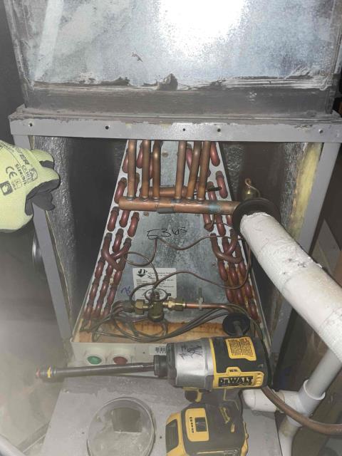 Onsite today for an Rtf service project. Successfully cleaned blower motor housing area and changed furnace air filter. Job Complete.