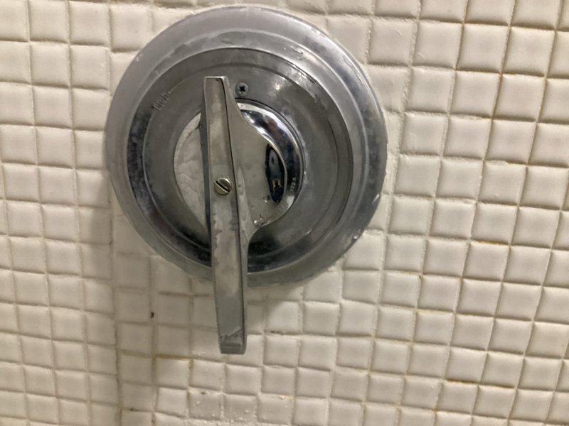 Job cancelled prior to completion. Initial inspection identified Speakman Sentinel shower fixture installed on white tiled wall with visible aging grout and minor water damage to surrounding area. No repairs performed.