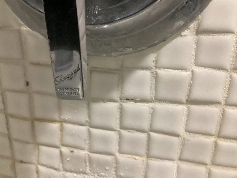 Job cancelled prior to completion. Initial inspection identified Speakman Sentinel shower fixture installed on white tiled wall with visible aging grout and minor water damage to surrounding area. No repairs performed.