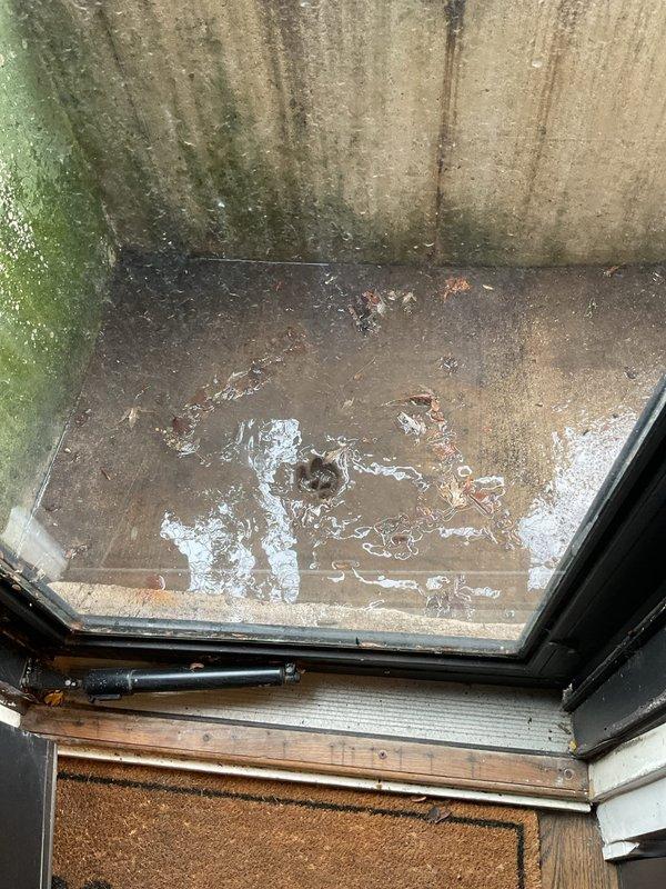 Responded to VIP service call for standing water (1-2 inches) in basement area facing Southport Ave that had not receded for several days. Inspection revealed water pooling around floor drain on concrete surface with visible moisture damage and mold growth on surrounding walls. Also addressed reported issues with basement toilet function that were contributing to the drainage problems.