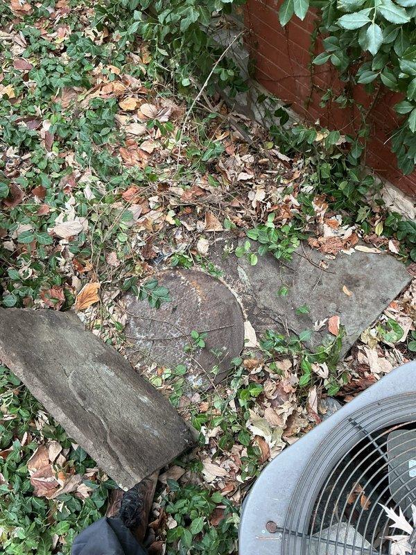 Responded to VIP service call to clean catch basin. Upon arrival, found circular concrete drain access significantly overgrown with vegetation and partially obstructed with debris. Cleared surrounding plant growth, removed accumulated leaves and sediment from basin, and ensured proper drainage function was restored.
