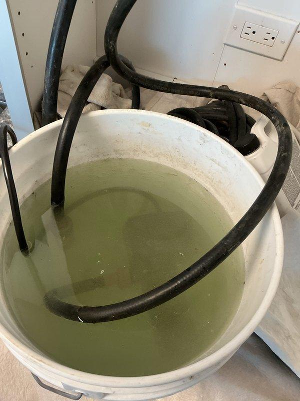 Performed scheduled maintenance flush on 1-year-old residential tankless water heater. Connected service hoses to isolation valves and circulated descaling solution through heat exchanger to remove mineral buildup. System was thoroughly flushed and returned to service with all connections verified secure and operational.