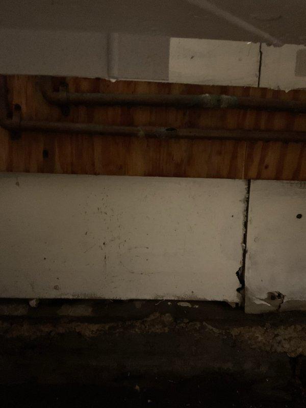 Inspected property basement area and identified water leakage near copper supply lines with visible corrosion. Documented damaged drywall panels with moisture intrusion. Client needs to schedule catch basin pump-out service to prevent further water accumulation and potential foundation issues.
