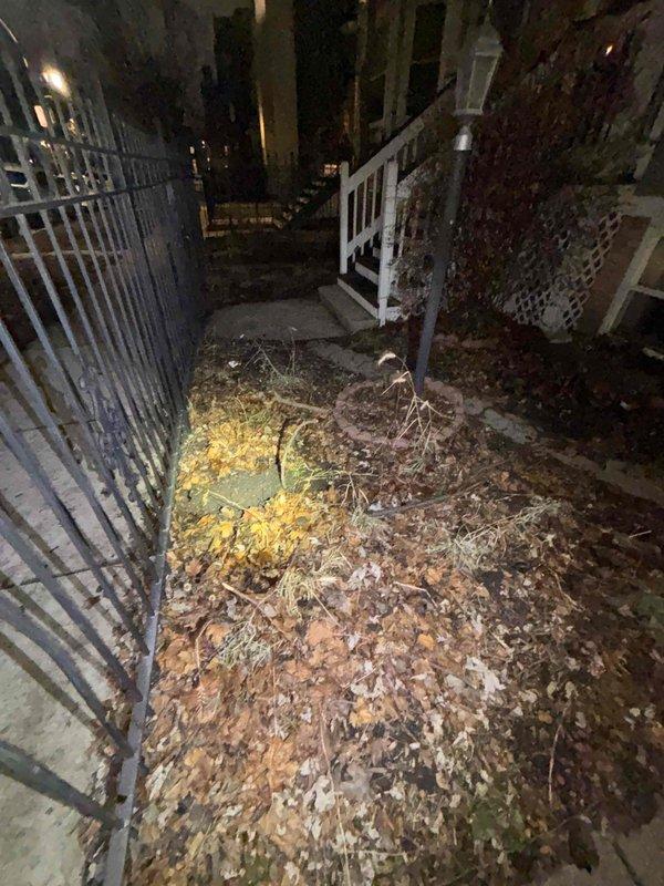 Responded to client Basi for a callback requested by Bryan. Upon arrival, conducted exterior inspection of the property including access areas and drainage zones. Documented significant leaf accumulation around entrance stairs and perimeter fence which could potentially obstruct drainage systems and create water flow issues. No active plumbing issues were identified during this assessment visit.