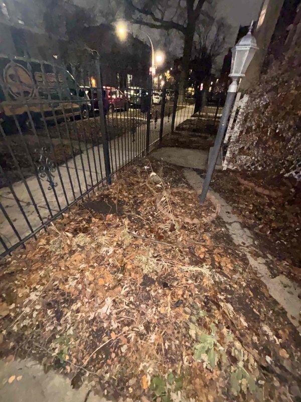 Responded to client Basi for a callback requested by Bryan. Upon arrival, conducted exterior inspection of the property including access areas and drainage zones. Documented significant leaf accumulation around entrance stairs and perimeter fence which could potentially obstruct drainage systems and create water flow issues. No active plumbing issues were identified during this assessment visit.