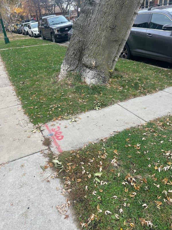 Inspected main valve leak issue that occurs during operation. Confirmed that city has located the boundary box and completed their portion of work. Customer is awaiting tree removal before final resolution. Documented condition of exterior utility markings and interior plumbing setup with valve installation.