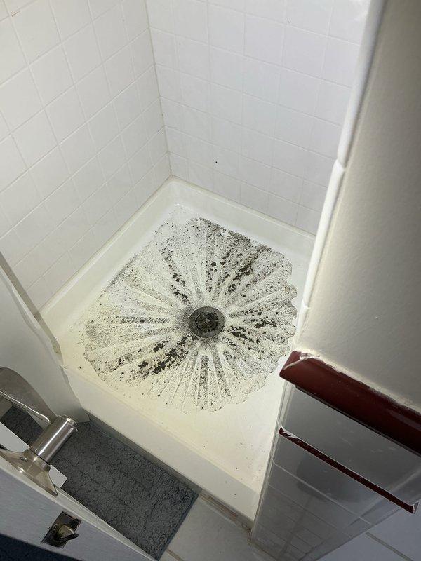 Responded to customer's service request regarding a slow sewer main line at residential property. Inspected bathroom shower which showed significant black mold growth radiating from the drain in a starburst pattern, indicating potential drainage issues. Service vehicle was properly positioned and utility areas were marked with spray paint prior to assessment of the plumbing system.