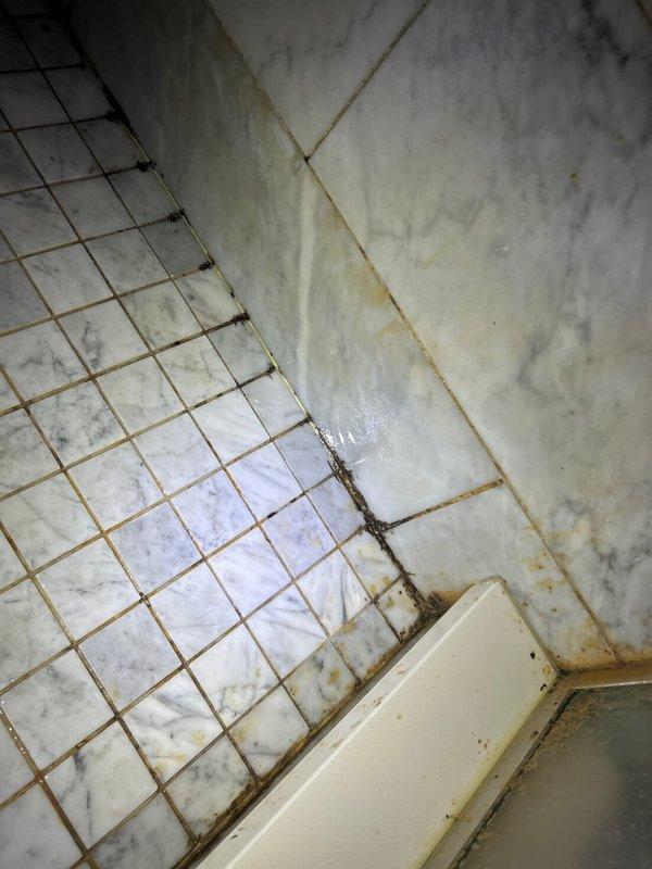 Conducted leak investigation for shower with intermittent ceiling leak below. Performed visual inspection of shower area, documenting measurements and examining tile conditions. Observed significant moisture damage at corner junctions, including mold/mildew accumulation and deteriorated grout lines, particularly where marble tile meets shower base, indicating potential waterproofing failure in shower pan area.