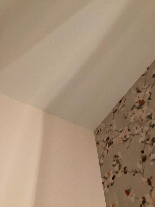 Successfully completed a two-person repair job in the powder room requiring careful protection of wallpapered surfaces. Utilized floor mats, tarps, and plastic coverings to shield the decorative floral wallpaper while accessing and servicing the ceiling vent/exhaust fan. Work was completed with no damage to the surrounding finishes.