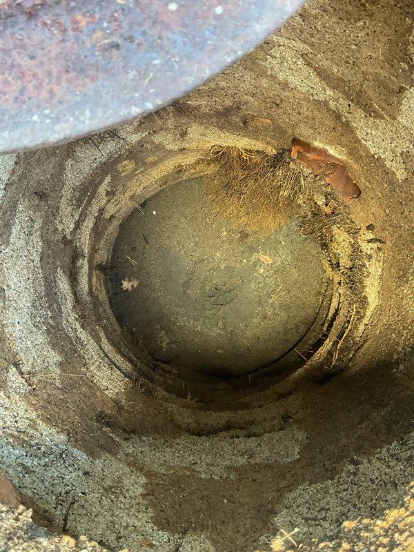Responded to emergency service call for residential sewer line backup. Performed inspection of outdoor drain access point, revealing root intrusion and debris accumulation in the circular concrete drainage pipe. Observed standing water in the pipe, confirming blockage issue causing reported backflow problems.