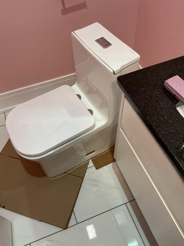 Reset toilet in hallway bathroom with contemporary white fixture against pink wall. Inspected existing plumbing connections including shower valve assembly and water mixer. Addressed washing machine and vanity installation as requested by customer.