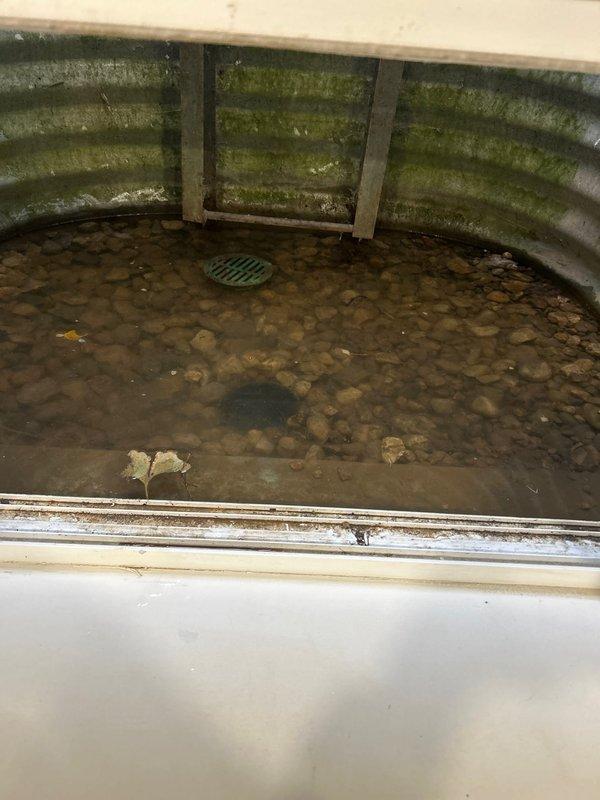 Responded to emergency call for water intrusion through walls. Upon inspection, identified a malfunctioning sump pump system with standing water in the collection basin. Discovered algae buildup and debris obstructing the drain grate. Cleared blockage, serviced the pump controller, and verified proper operation of the PVC drainage system with all valves and connection points intact.